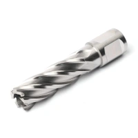 Корончатое сверло Magnitronic HSS 17х50мм, DNHX40170