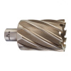 Фреза кольцевая HSS D44х50мм (Weldon)